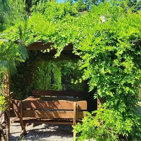 Goscinne Marzena Проживание в семье Гдыня